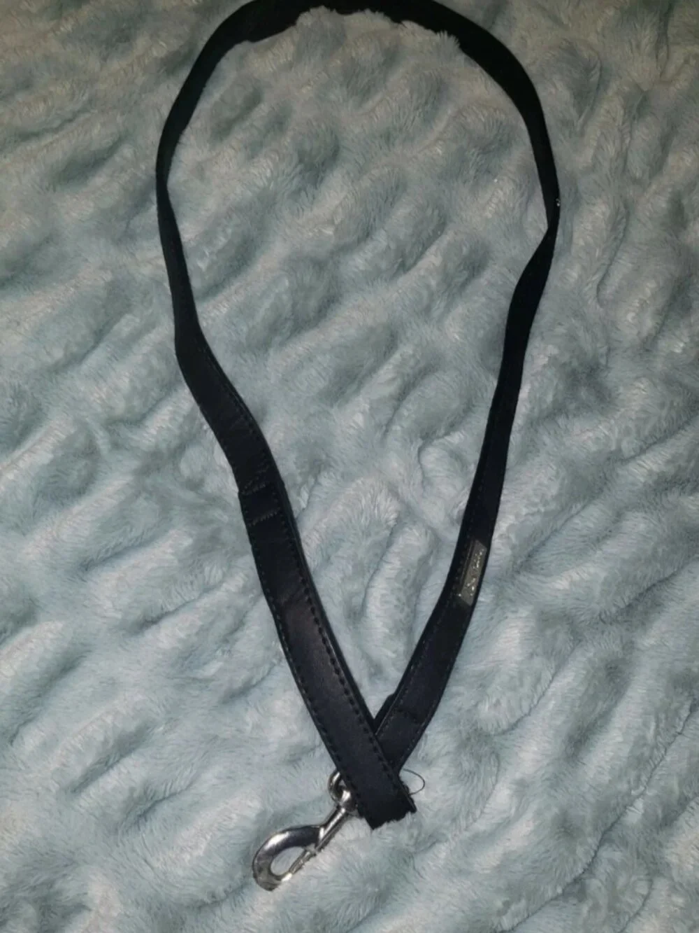 Brett Michaels dog leash